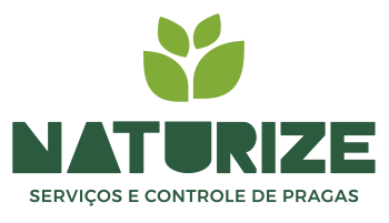 templatetestelucas03.mpitemporario.com.br